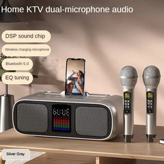 S39 Karaoke Speaker | Dual Horns, Wireless Dual Microphones | Mobile Entertainment & TV Karaoke All-In-One (Grey)