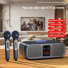 S39 Karaoke Speaker | Dual Horns, Wireless Dual Microphones | Mobile Entertainment & TV Karaoke All-In-One (Grey)