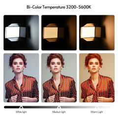 LED-800 LED Video Light – Professional Photography Light Panel for Studio and On-Location Shooting