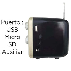 DX-2447 Bluetooth Speaker. Wireless portable speaker compatible with mobile devices for music & hands-free calls.