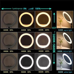 14-Inch Selfie Ring Light with Tripod Stand – Adjustable Photographic Lamp with 3 Mobile Holders